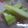 yukaf's cooksnap of when they made ブロッコリーの茎・芯のぬか漬け.