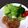 サン・サン's cooksnap of when they made 豚ひき肉で豆腐ハンバーグ.
