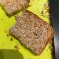 みさきちまる's cooksnap of when they made 全粒粉100％パン_早焼きで（ＨＢ）.