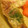 sonop's cooksnap of when they made 簡単｡◠‿◠｡ 豪華♪鮭のマスタード焼き.