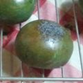 猛烈ネムリン's cooksnap of when they made よもぎあんぱん.