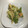 菜の花ととんぼ's cooksnap of when they made さっくり春満開☆菜の花と海老のかき揚げ.