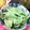poohemon's cooksnap of when they made ひらり＊かまぼことキュウリの梅マヨ和え.