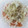 さあにゃん♪'s cooksnap of when they made トマトと新玉ねぎのサラダ.