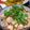 MEGuREEN's cooksnap of when they made 鮭ご飯.