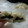 kimishi's cooksnap of when they made 簡単!! 中華まんの皮♪.