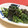 umizarusuki's cooksnap of when they made ＊簡単♪春菊と海苔の和えもの＊.