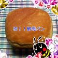 定春３２号's cooksnap of when they made 白神こだま酵母でシンプル食パン～HB.