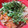あまいこびと's cooksnap of when they made 簡単!!　切り干し大根とキャベツの蒸し煮.
