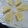 おたんこちゃん。's cooksnap of when they made 簡単！旨い！さくさくスコーン.