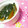 キョク's cooksnap of when they made かぼちゃだけ！かぼちゃ好き集まれ！.