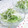 patisier's cooksnap of when they made 水菜と大根のゴマ風味.