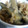ひりなみえ's cooksnap of when they made 茄子と薄揚げの煮物.