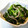 nekoland's cooksnap of when they made 豆苗とじゃこわかめのお浸し.