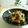 みなろーる's cooksnap of when they made ウインナーとホウレン草・卵の塩昆布炒め.
