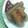 ととろ＆めい's cooksnap of when they made ☆スパイシー！おからのソーセージ風☆.