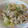 kko-h's cooksnap of when they made ☆めちゃ簡単♪白菜と豆腐の炒めもの☆.