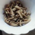 かぴーな's cooksnap of when they made 火を使わず簡単！しめじのおかか和え.