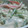 みやくまちゃん's cooksnap of when they made 簡単‼水菜とカニカマの白和え風サラダ.