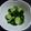 こくぼっち's cooksnap of when they made きゅうりの冷菜☆本場中華味.