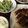 aotanmam's cooksnap of when they made 豚バラで野菜ロール照り焼き.