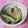 ゆかゆかべ's cooksnap of when they made きゅうり☆切って漬けるだけ.