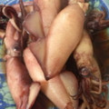 3110194's cooksnap of when they made 簡単。やりいかの煮付け。.