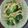よっちゃンン's cooksnap of when they made ブロッコリーとじゃがいものオイスター炒め.