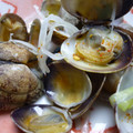 ぷりんなめらか's cooksnap of when they made あさりの酒蒸し.
