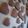 朱花ちゅん's cooksnap of when they made 卵いらず！簡単☆サクサククッキー.