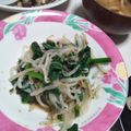 kara's cooksnap of when they made モヤシとほうれん草お浸し.
