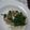 ハラペコまぁ。's cooksnap of when they made にら豚豆腐.