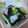 きらきらまいこ's cooksnap of when they made [副菜]簡単！わけぎとタコのヌタ和え♥.