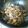 mari-katsu's cooksnap of when they made シイタケの佃煮.