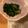 putirinngo's cooksnap of when they made にらのごまあえ　.