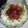 milkymarch's cooksnap of when they made おもてなしにも。トマトのハニーワイン煮.