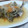 こつぶみ's cooksnap of when they made アジの南蛮漬け.