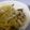 あずりんこん's cooksnap of when they made エリンギとベーコンの和風パスタ.