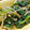 さかーす's cooksnap of when they made 豆もやしとほうれん草のナムル.