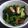 MyMe＊'s cooksnap of when they made 小松菜とごぼ天のからし和え.