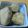 麗ka's cooksnap of when they made 里芋の煮物.