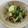 あっこ姉's cooksnap of when they made ごぼうとわけぎの卵とじ.