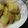きなこりん's cooksnap of when they made 和食のたれで簡単冬野菜の煮物.