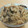 サーフブレイド's cooksnap of when they made きのこたっぷり♪炊き込みご飯.