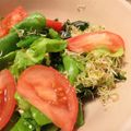 rakuen's cooksnap of when they made お豆腐とアルファルファのサラダ.