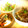 snowish824's cooksnap of when they made 豚肉のネギ塩焼き.