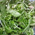 りらくっきんぐ's cooksnap of when they made おいしい☆水菜の和風サラダ♪.