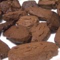 ☆ミルフィーユ☆'s cooksnap of when they made 簡単！チョコクッキー♪.