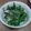 Nina1027's cooksnap of when they made 菜の花の塩麹和え（洋風アレンジ）.