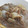 ぴっちい's cooksnap of when they made 玉ねぎのとろとろ煮.